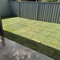 natural-turf-11-1200x800